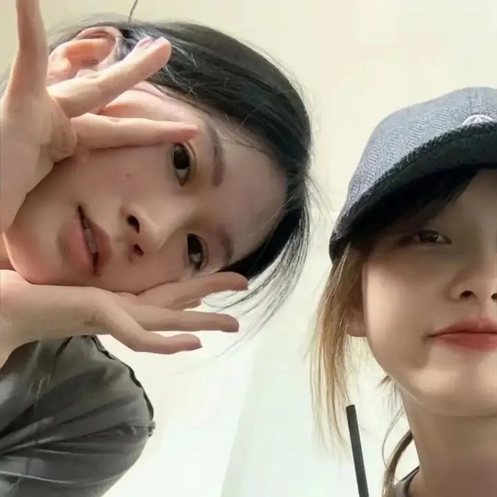 文豪野犬第二季