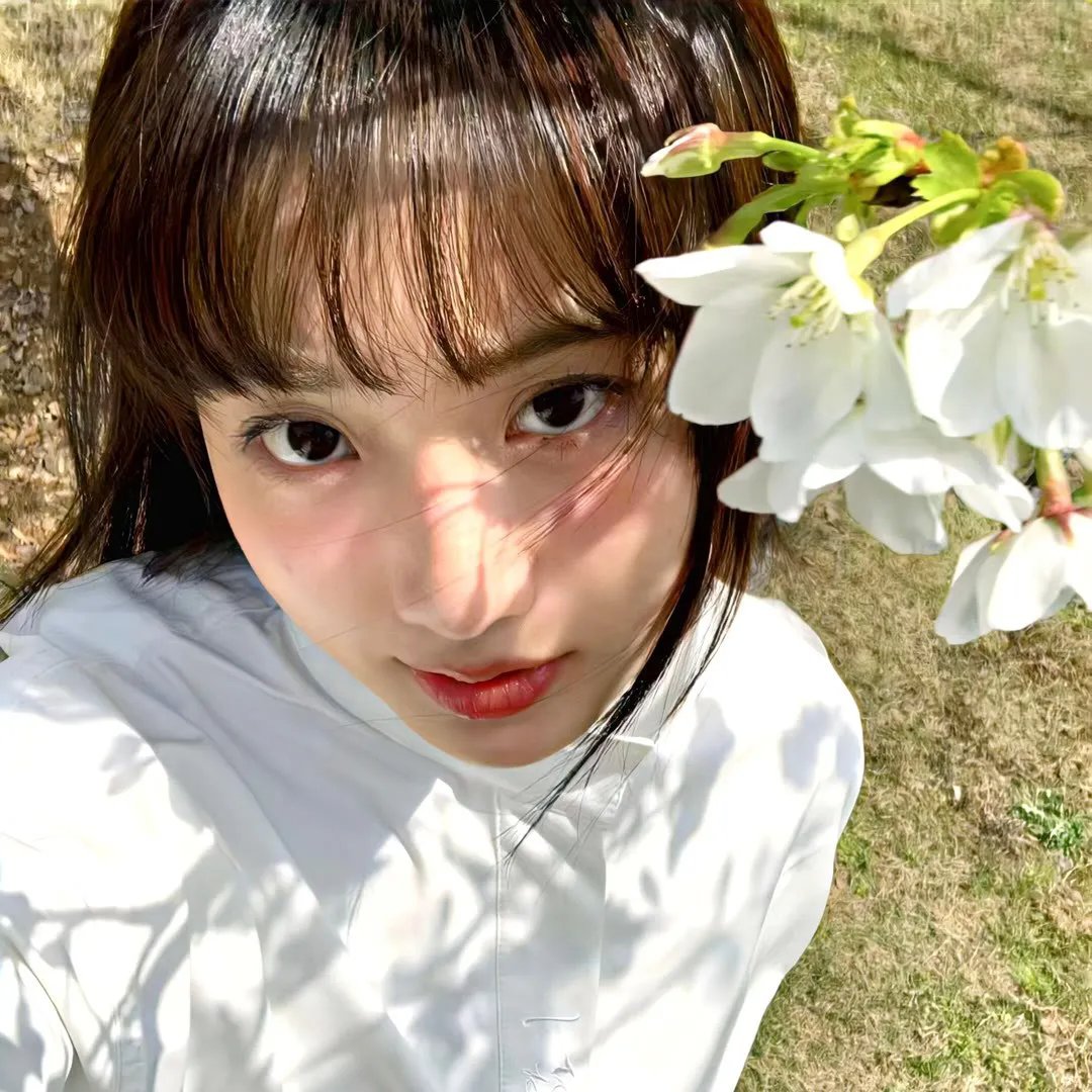 食色大陆·动态漫