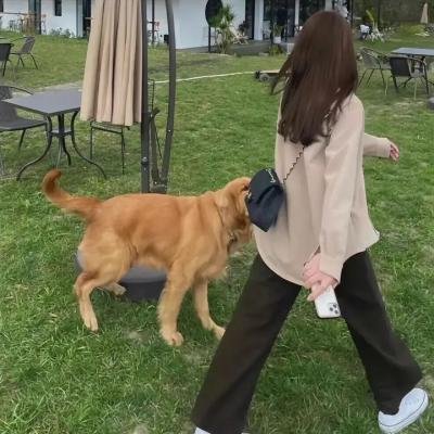 雌虎狂龙